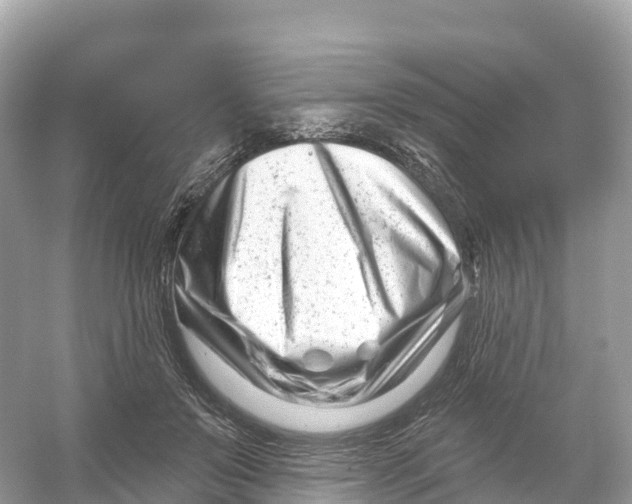 X0000053020503200508051230