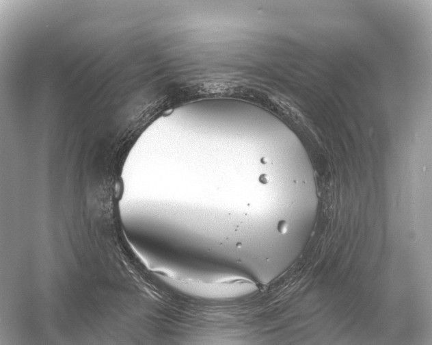 X0000053020505200508051230