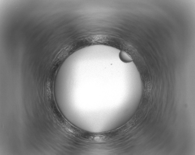 X0000053020506200508051230