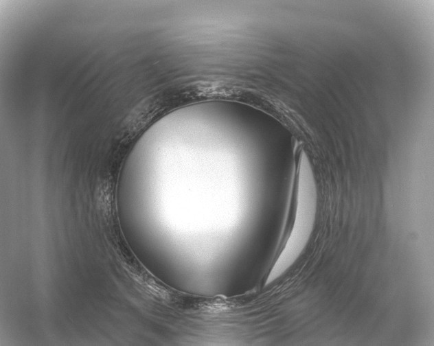 X0000053020513200508051230