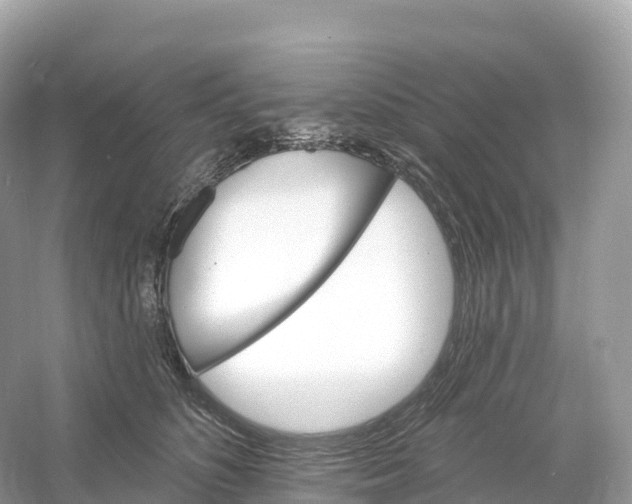 X0000053020516200508051230