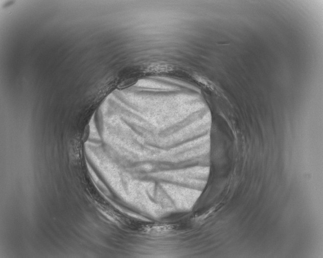 X0000053020517200508051230