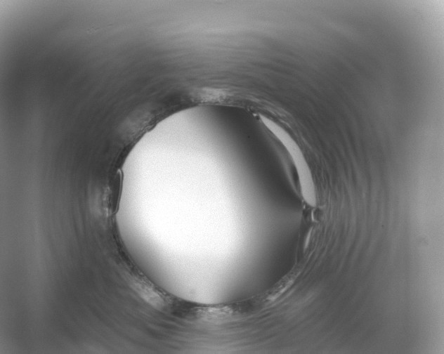 X0000053020525200508051230