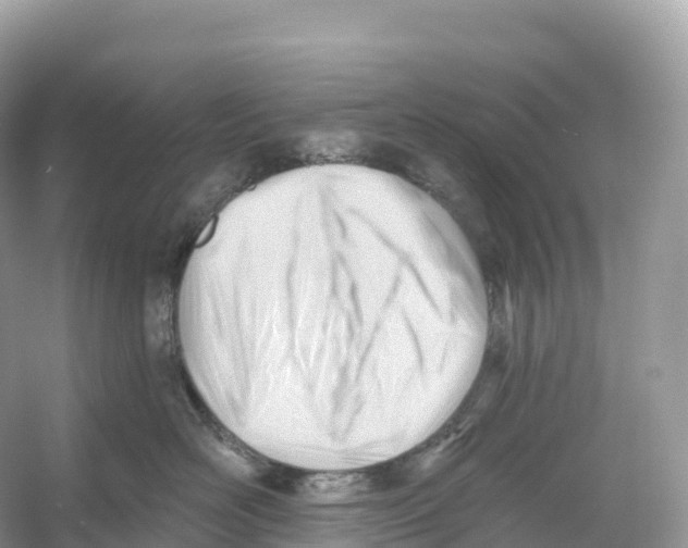 X0000053020526200508051230
