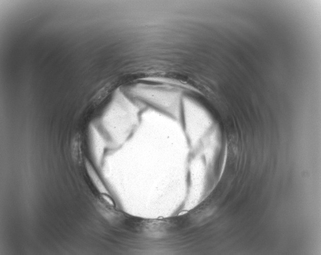 X0000053020527200508051230