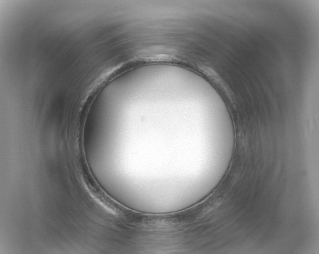 X0000053020533200508051229
