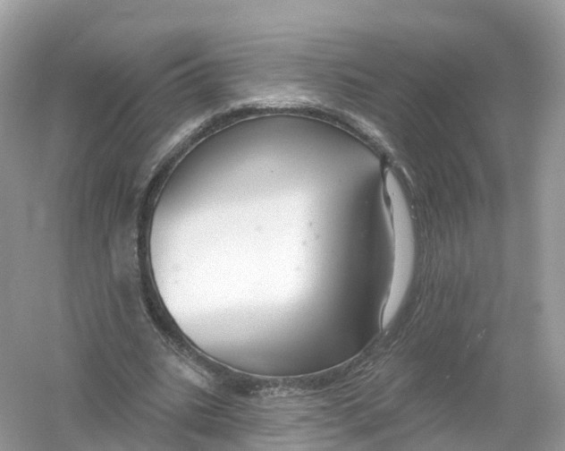 X0000053020535200508051229