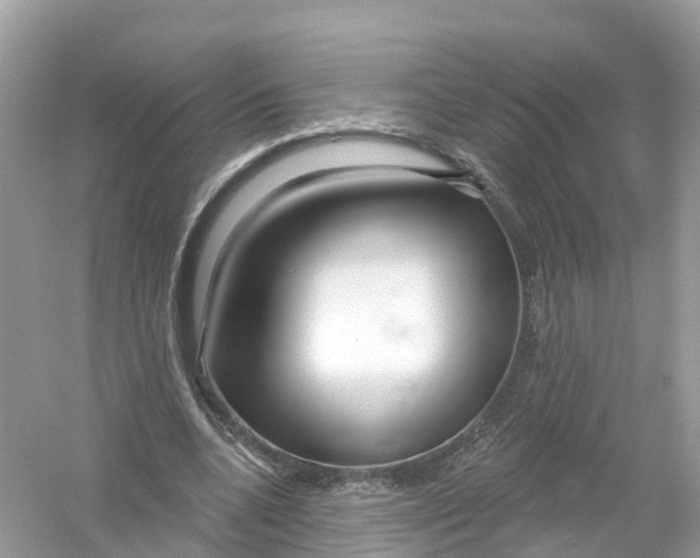 X0000053020536200508051229