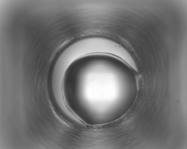 X0000053020538200508051229