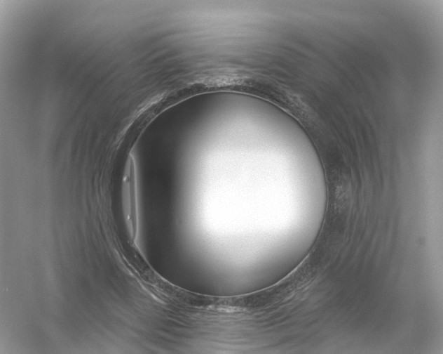 X0000053020539200508051229