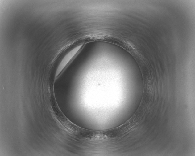 X0000053020543200508051229