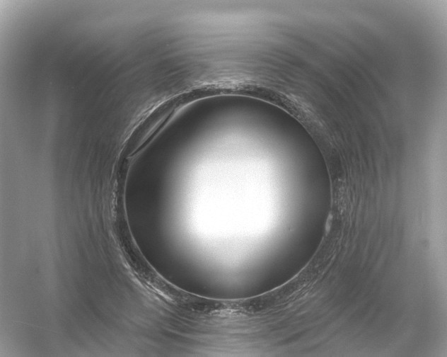 X0000053020544200508051229