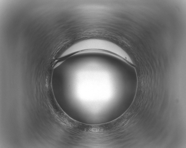 X0000053020546200508051229