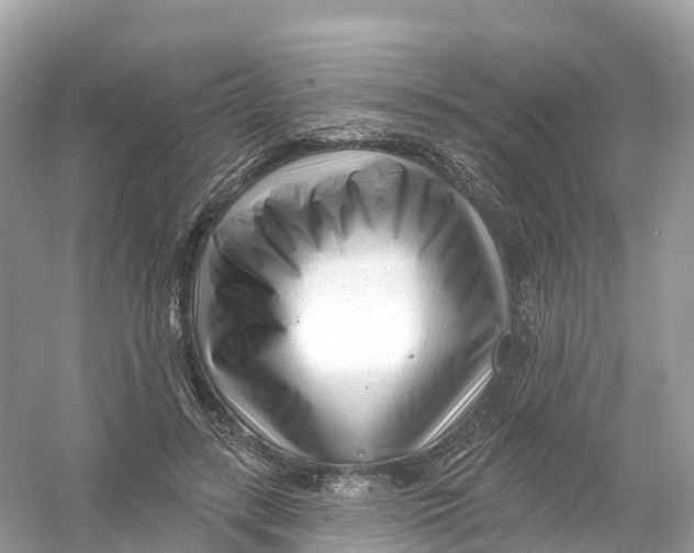 X0000053020547200508051229