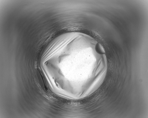 X0000053020549200508051229