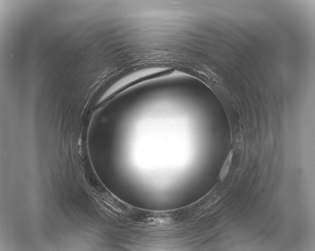 X0000053020552200508051229