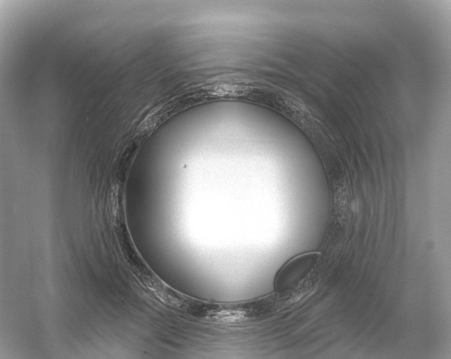 X0000053020554200508051229