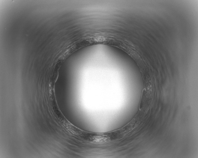 X0000053020555200508051229