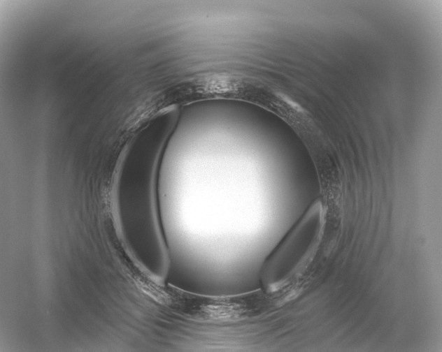 X0000053020556200508051229