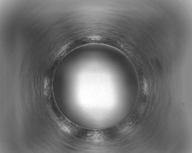 X0000053020559200508051229