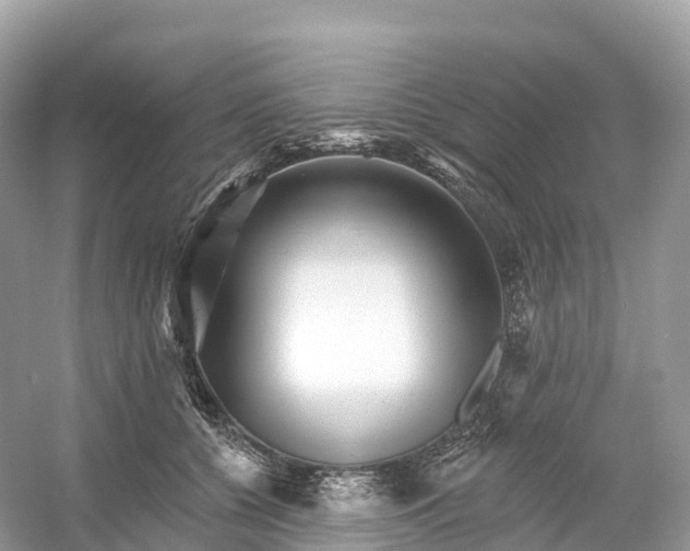 X0000053020560200508051229