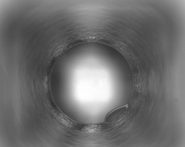 X0000053020563200508051230
