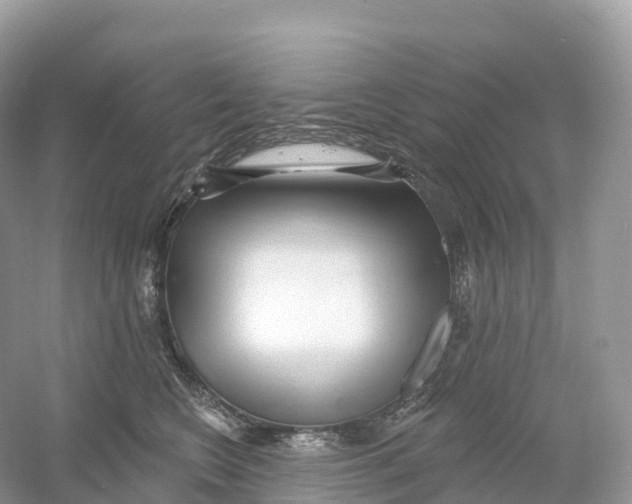 X0000053020566200508051230