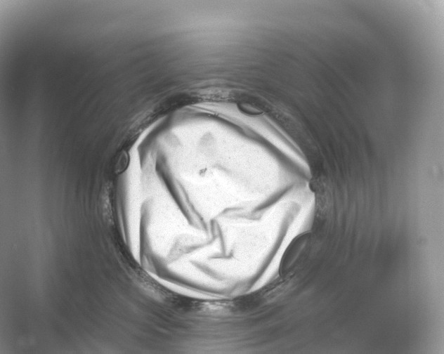 X0000053020573200508051230