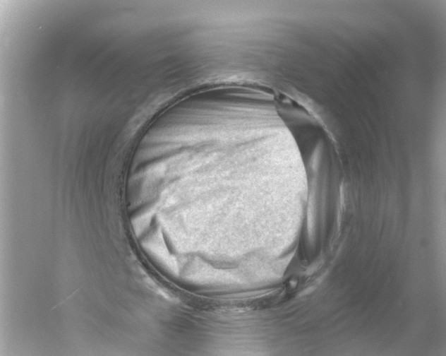 X0000053020577200508051229