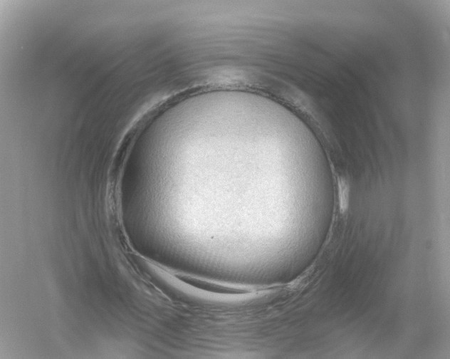 X0000053020579200508051229