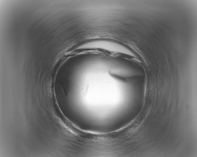 X0000053020585200508051229