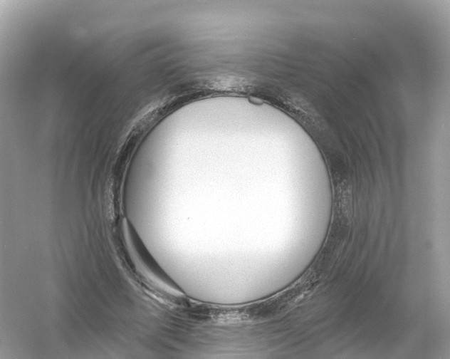 X0000053020587200508051229