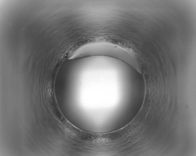 X0000053020593200508051229