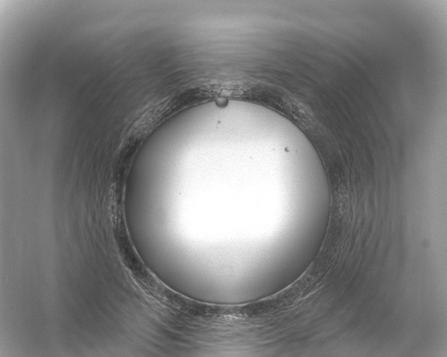 X0000053020594200508051229
