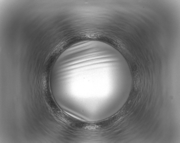 X0000053020595200508051229