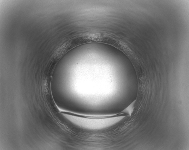 X0000053020597200508051229