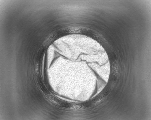 X0000053020598200508051229