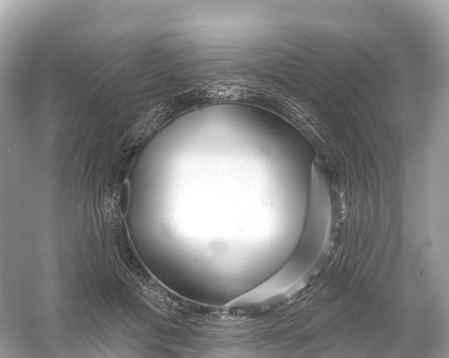 X0000053020601200508051229
