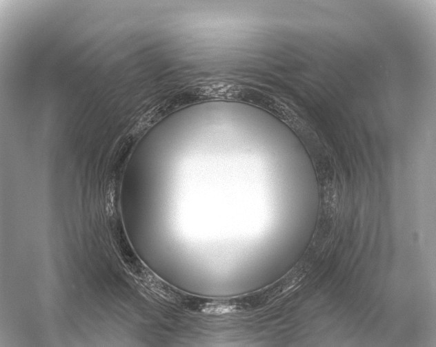 X0000053020602200508051229
