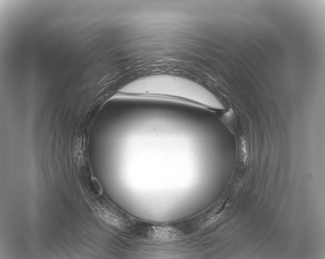 X0000053020605200508051228
