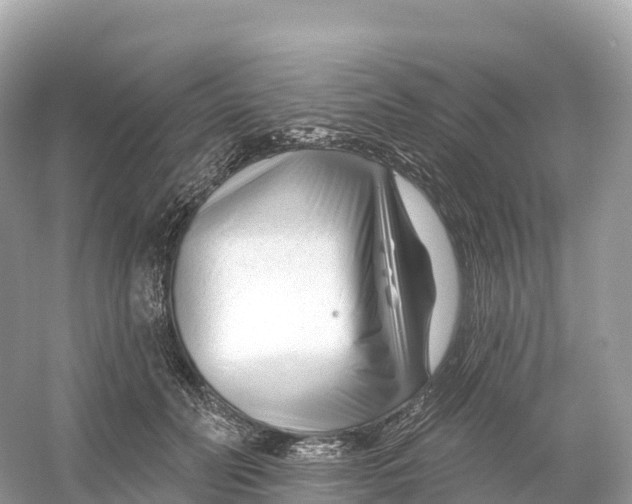 X0000053020606200508051228