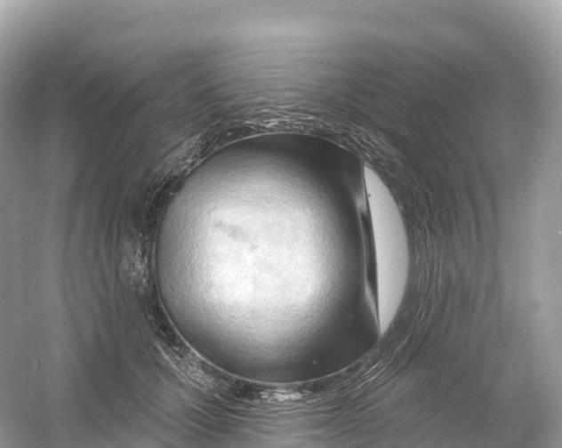 X0000053020607200508051228