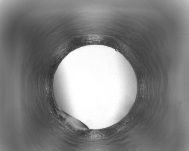 X0000053020608200508051228