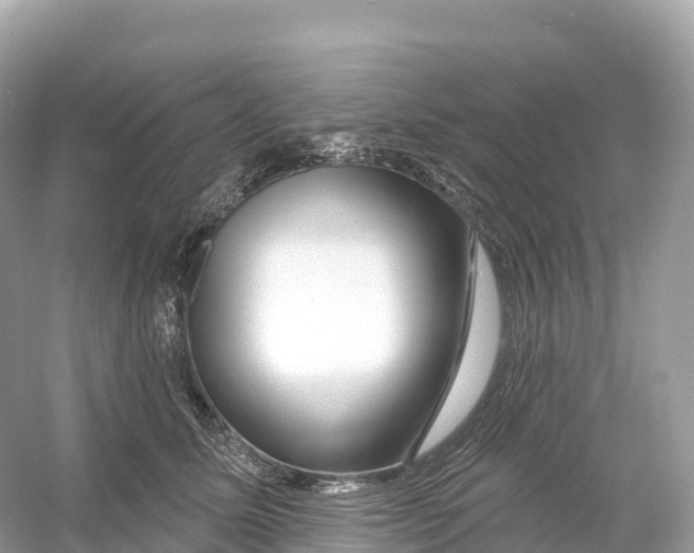 X0000053020611200508051228
