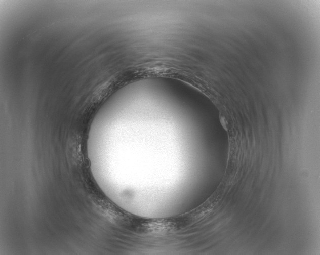 X0000053020615200508051228