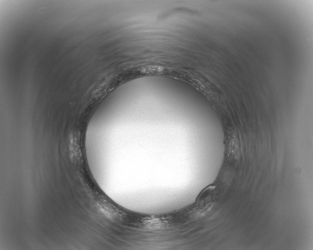 X0000053020616200508051228