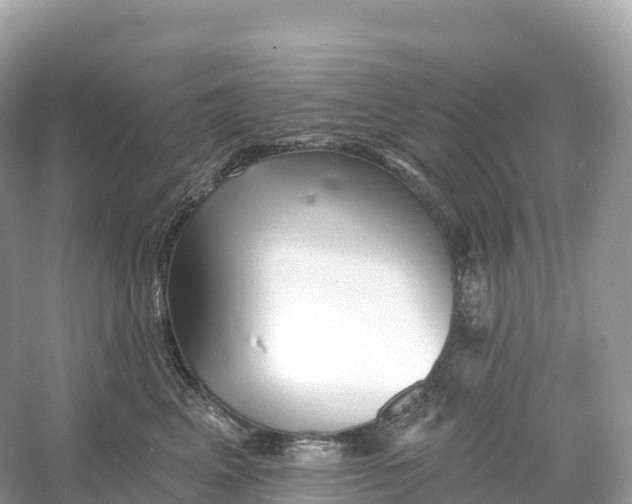 X0000053020617200508051228