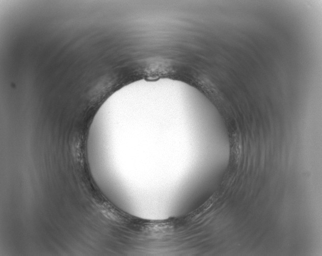 X0000053020619200508051228