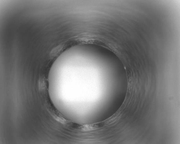X0000053020623200508051228