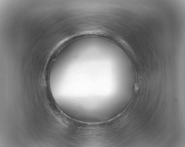 X0000053020628200508051227